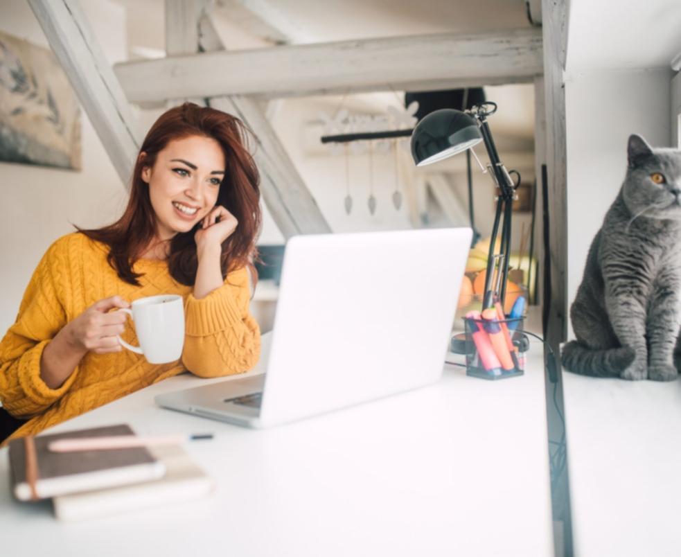 Gráficos de análisis de keywords mostrando tendencias y oportunidades de contenido