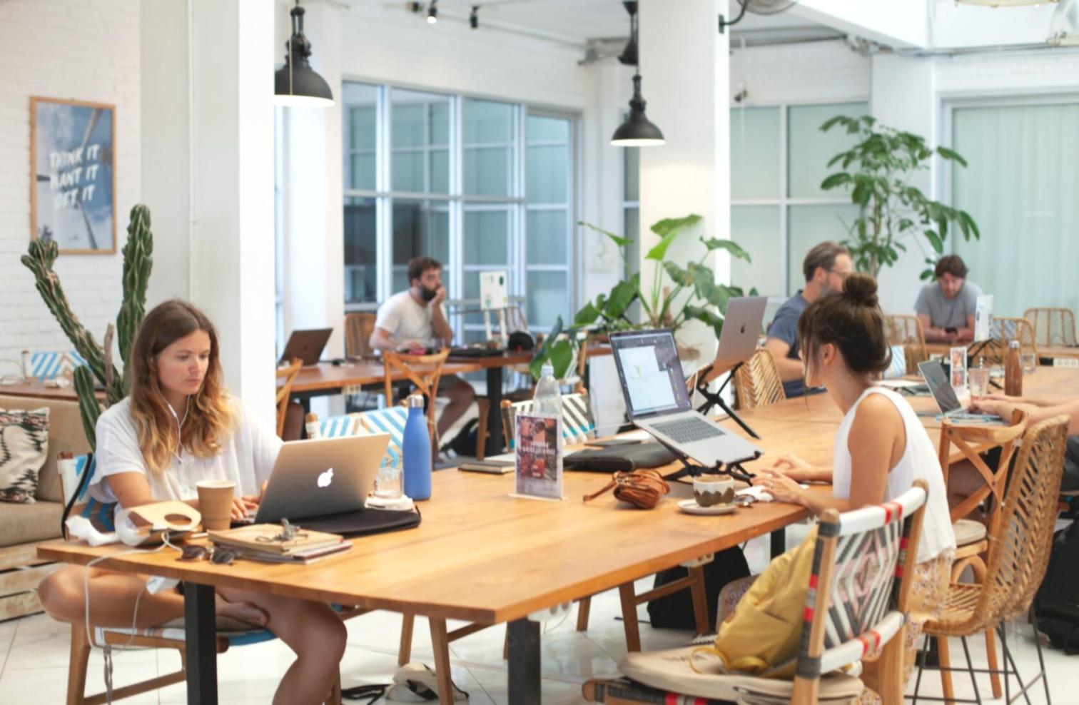 Materiales de estudio profesionales